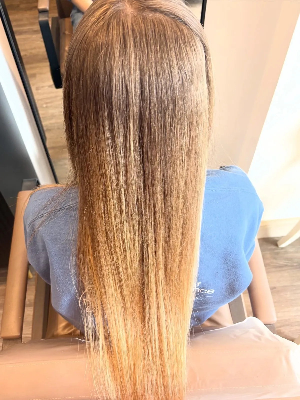 Rear view before: long hair with a flat warm ombre and straight, undone ends.