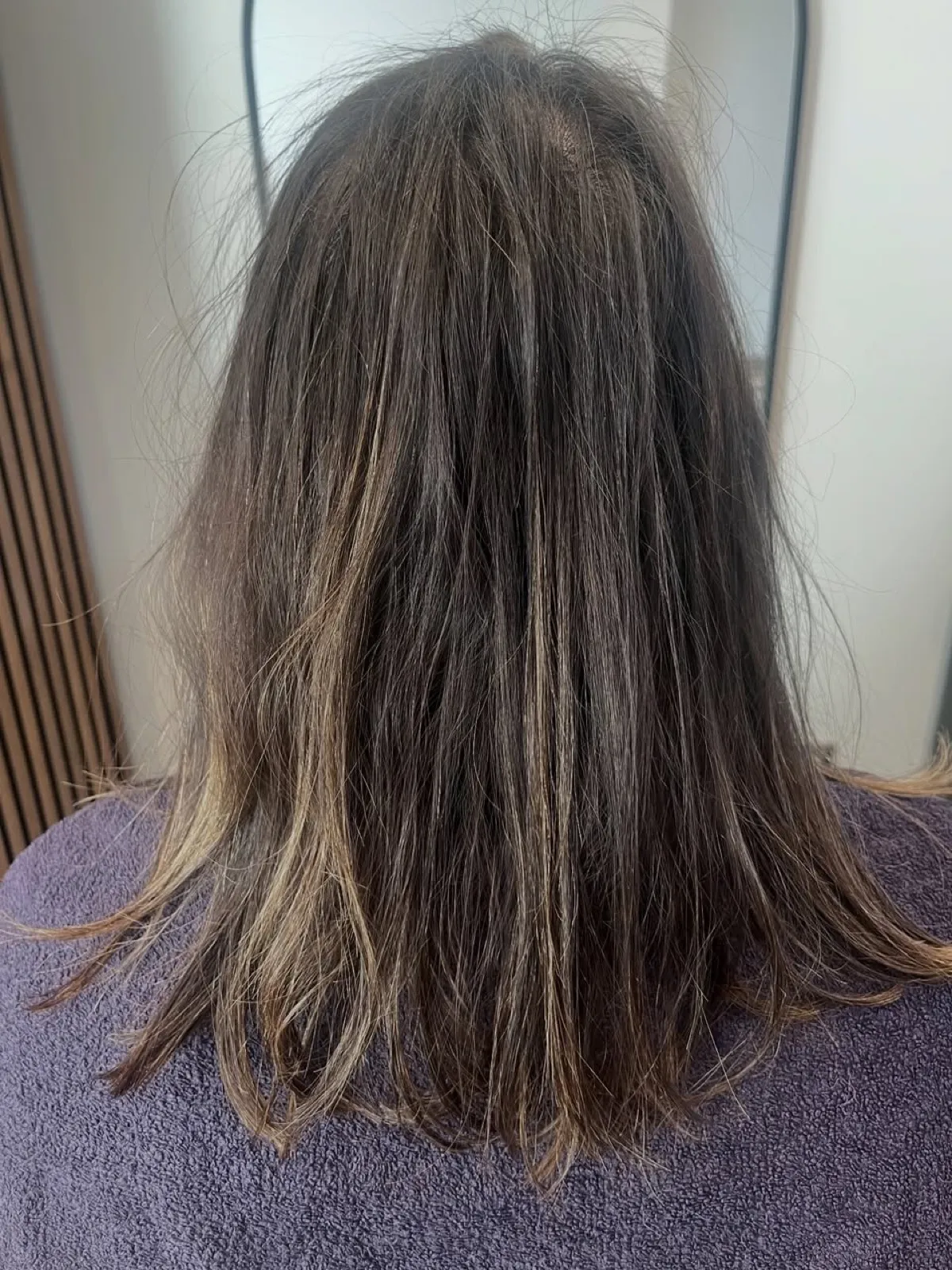 Rear view before: dry, undone dark brown mid-length hair with grown-out ends.