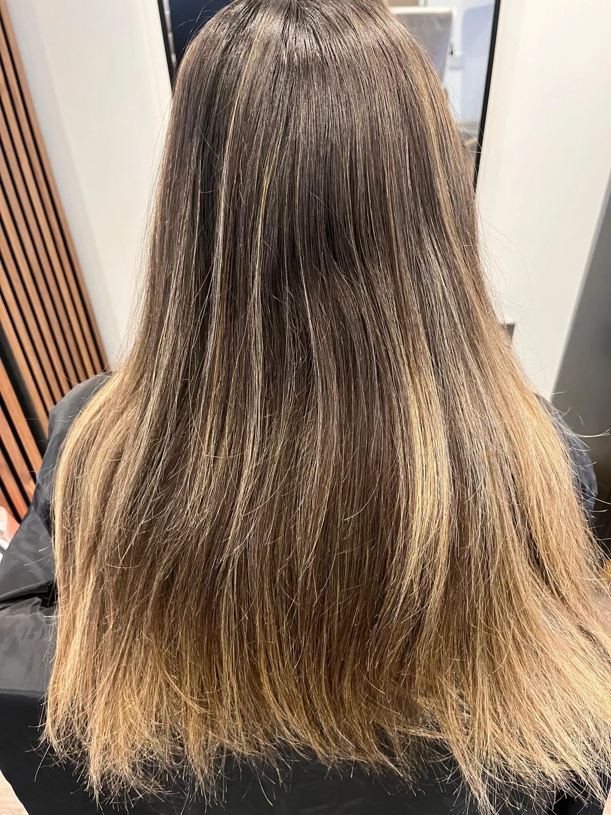 Rear view before: mid-brown hair with grown-out balayage ends, straightened and lacking shine.